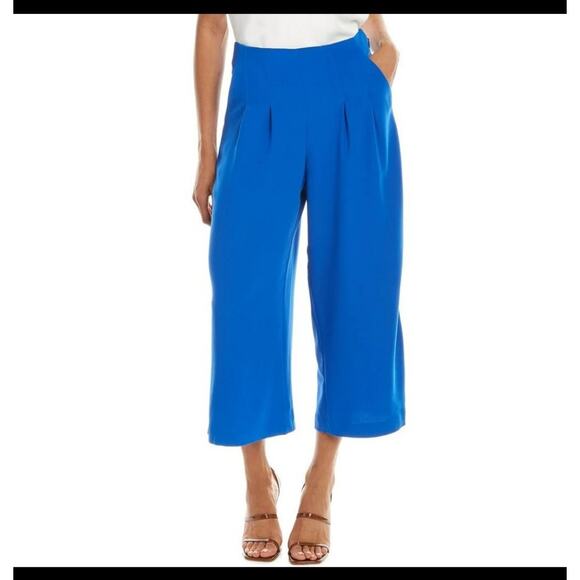 New Ted Baker Zetta blue pleated trouser culottes pants size 4 - Picture 1 of 14